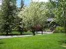 gallery/small/0 (30)-Gardeners-Sun-Valley-Idaho.jpg